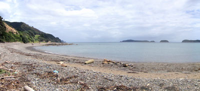 An east west coast beach on the Coromandel